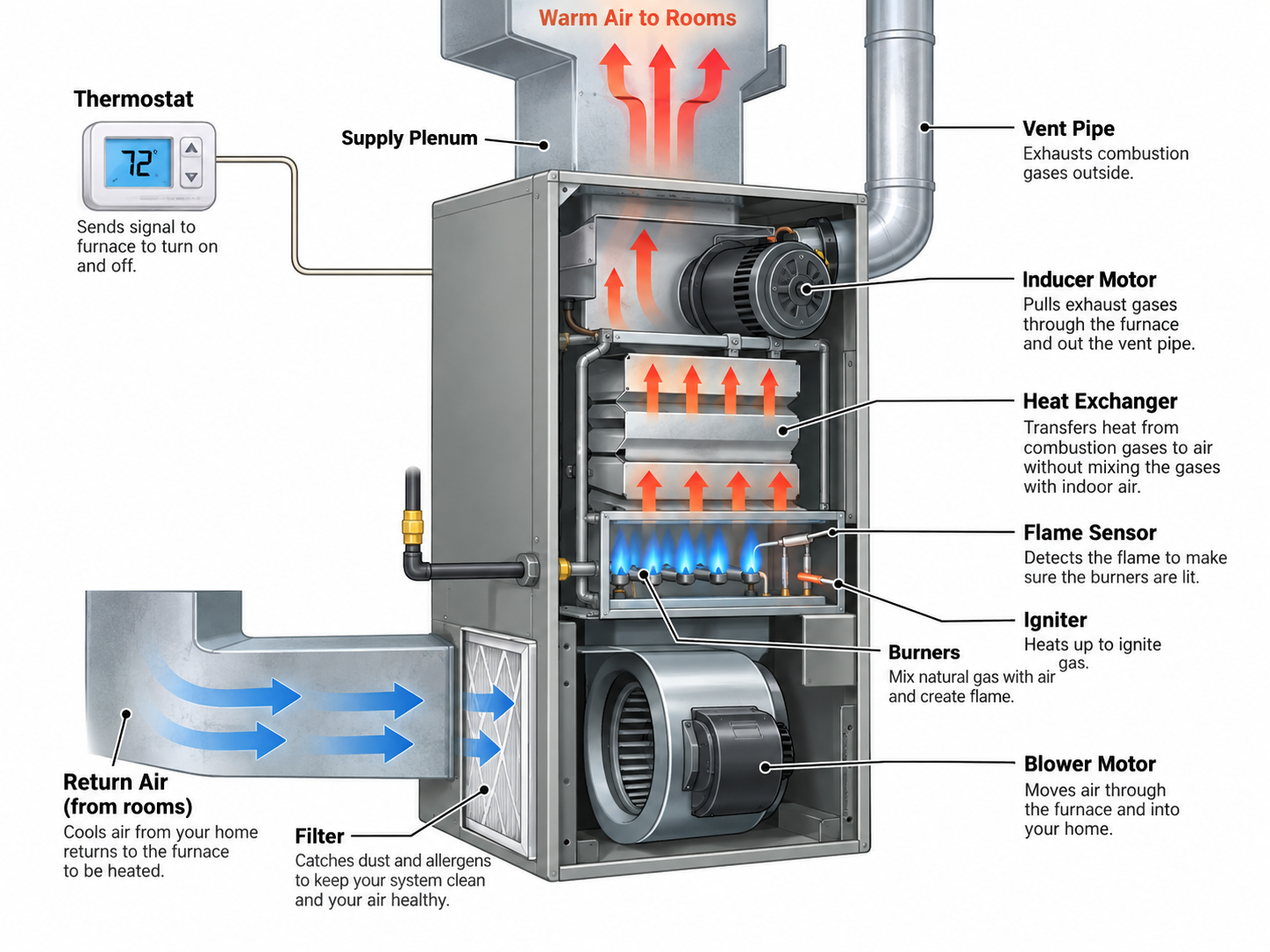 Cutaway diagram labeling the main parts and airflow path of a residential gas furnace